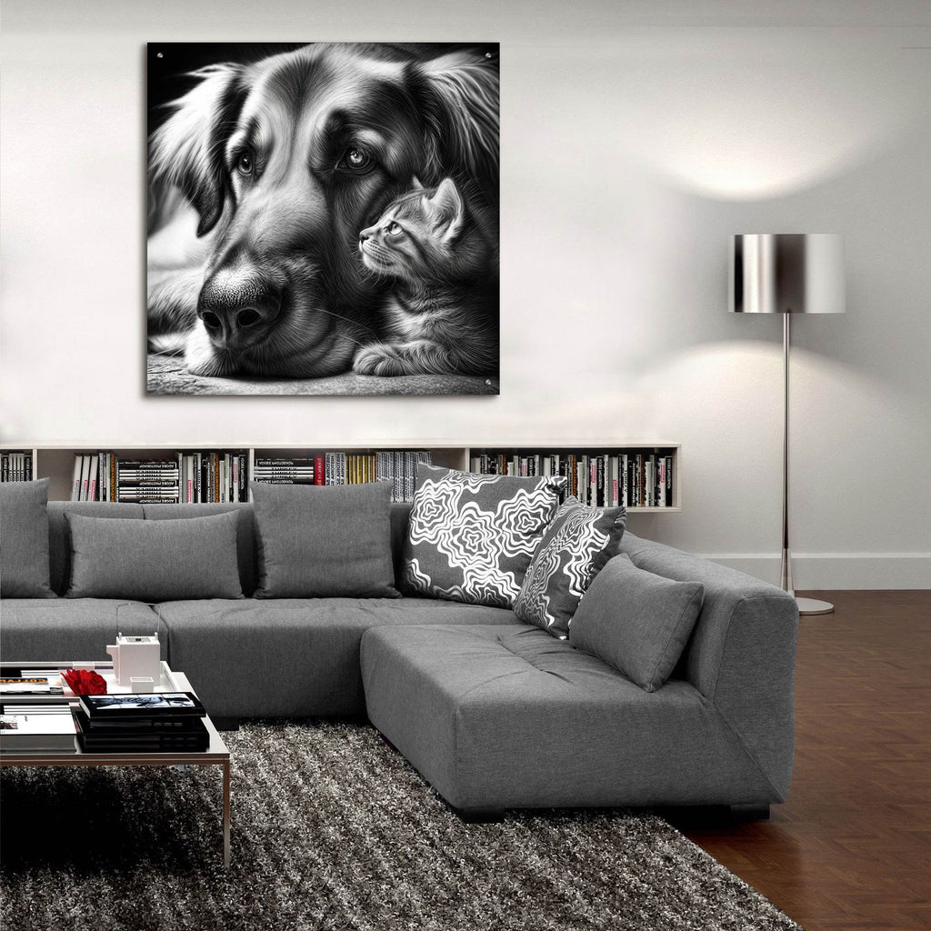 Cat And Dog B&w by Rey Klimt - 36x36 acrylic wall art in a room
