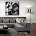 Cat And Dog B&w by Rey Klimt - 36x36 acrylic wall art in a room