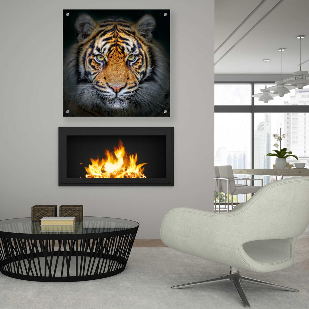 Epic Art 'Wild Side,' Acrylic Glass Wall Art,36x36