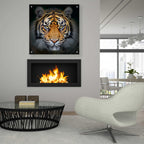 Epic Art 'Wild Side,' Acrylic Glass Wall Art,36x36