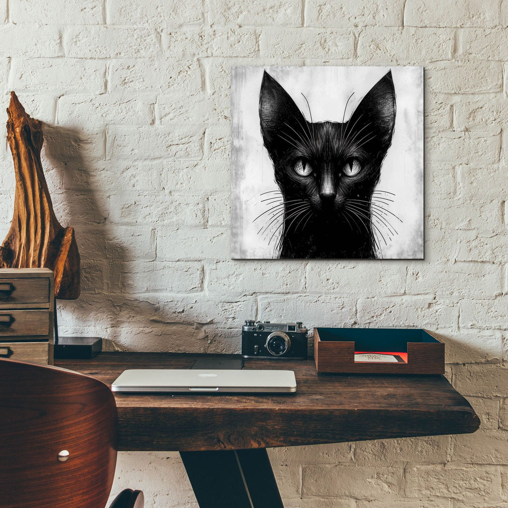 Cat Portrait B&w by Rey Klimt - 12x12 acrylic wall art in a room