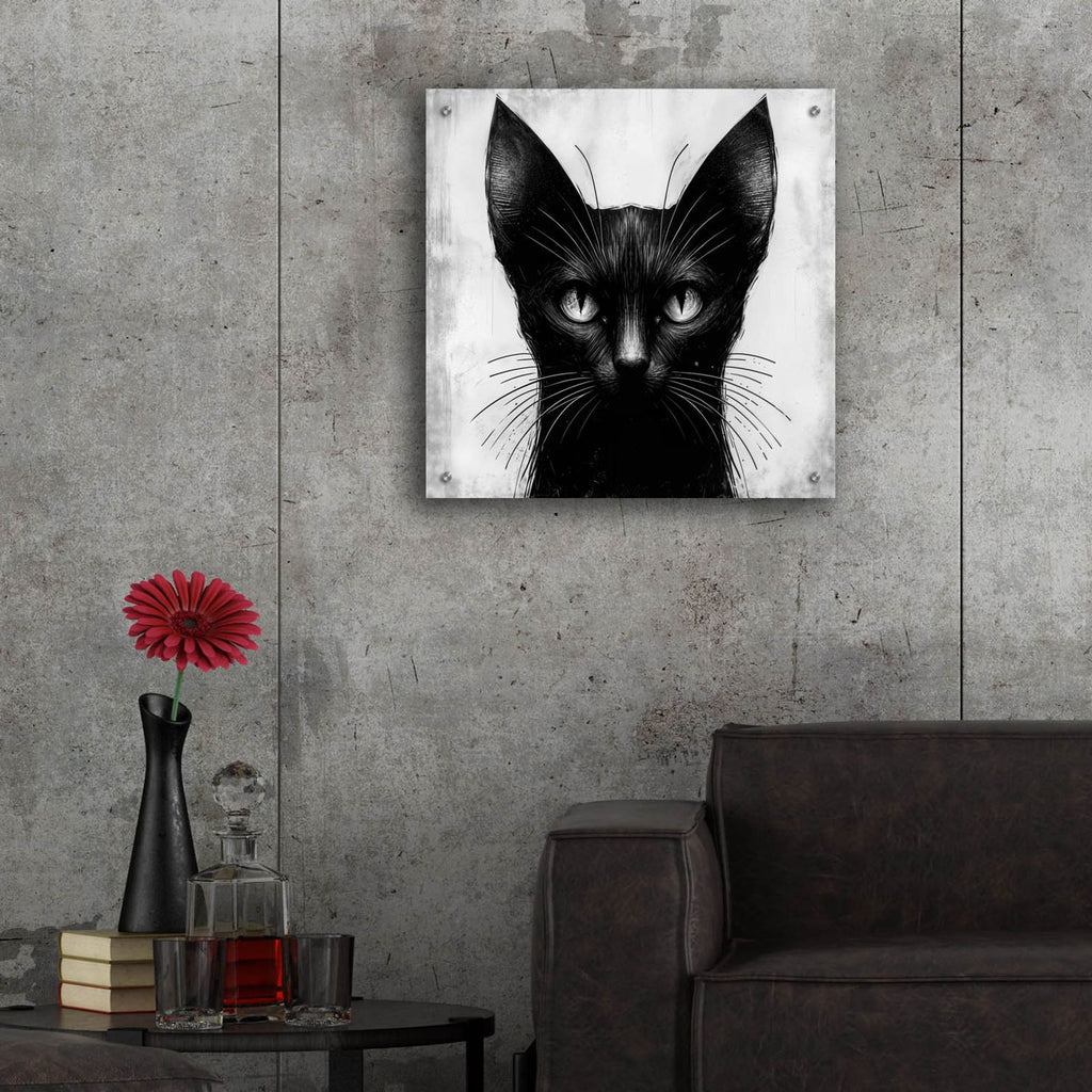Cat Portrait B&w by Rey Klimt - 24x24 acrylic wall art in a room