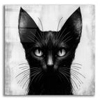 Cat Portrait B&w by Rey Klimt acrylic glass wall art