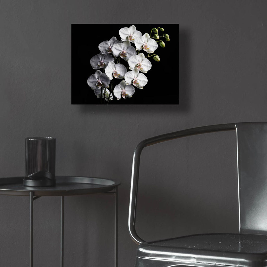 Orchid Flowers 1 by Rey Klimt - 16x12 acrylic wall art in a room