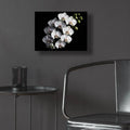 Orchid Flowers 1 by Rey Klimt - 16x12 acrylic wall art in a room