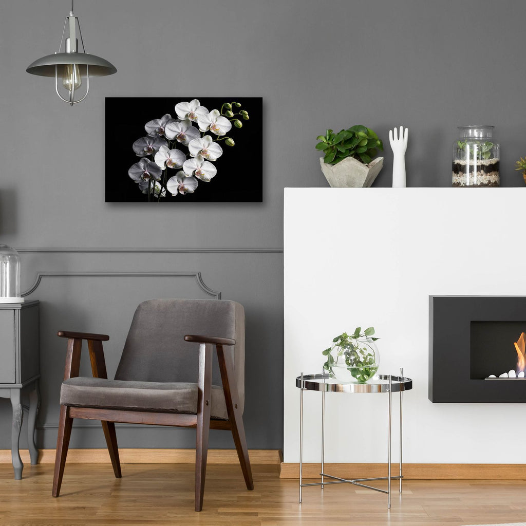 Orchid Flowers 1 by Rey Klimt - 24x16 acrylic wall art in a room