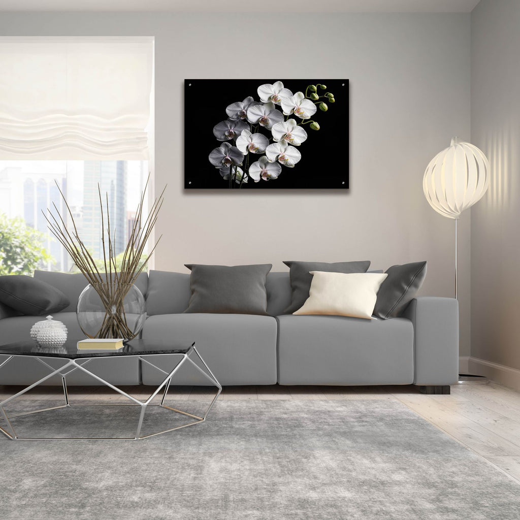 Orchid Flowers 1 by Rey Klimt - 36x24 acrylic wall art in a room