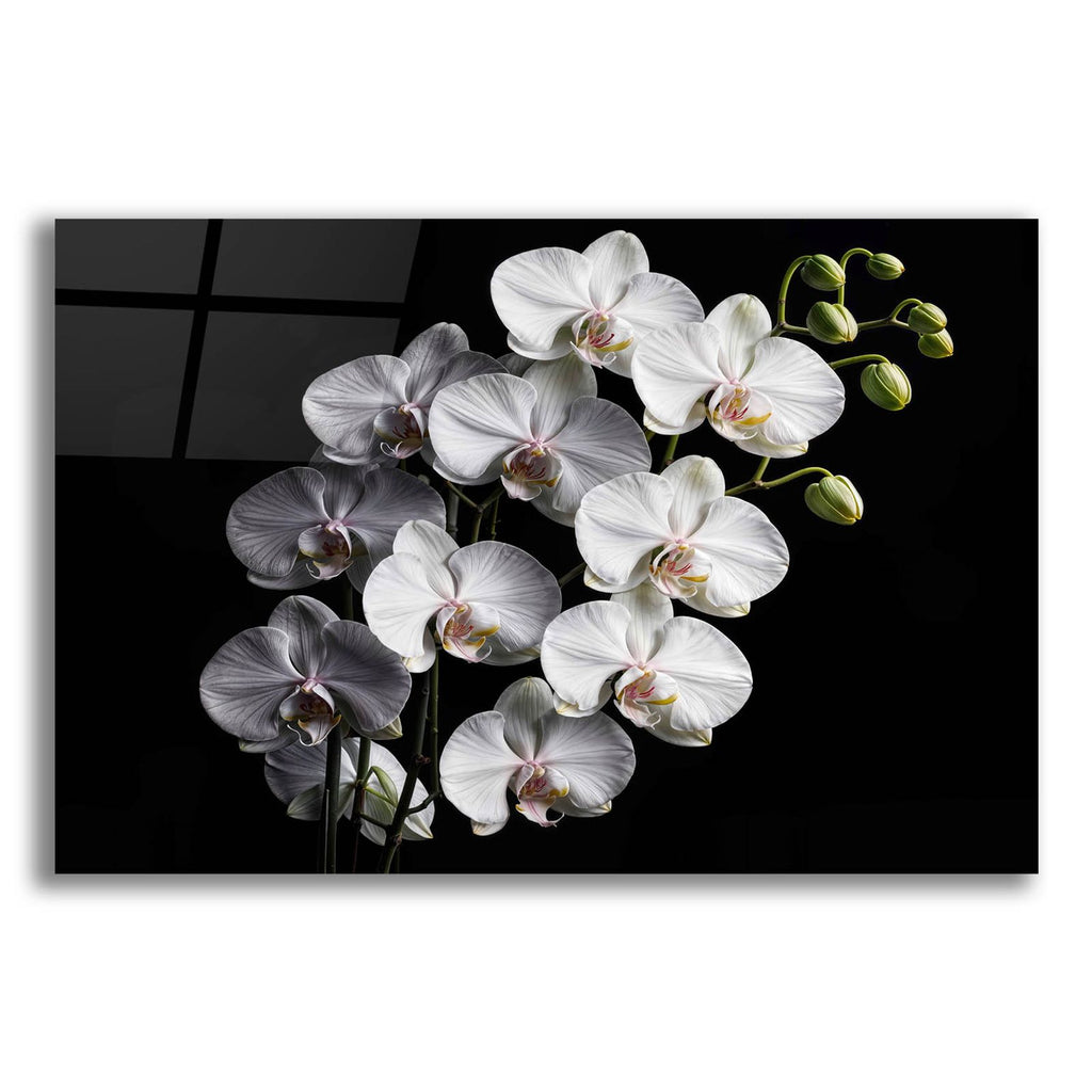 Orchid Flowers 1 by Rey Klimt acrylic glass wall art