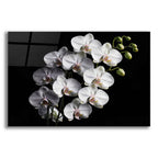 Orchid Flowers 1 by Rey Klimt acrylic glass wall art