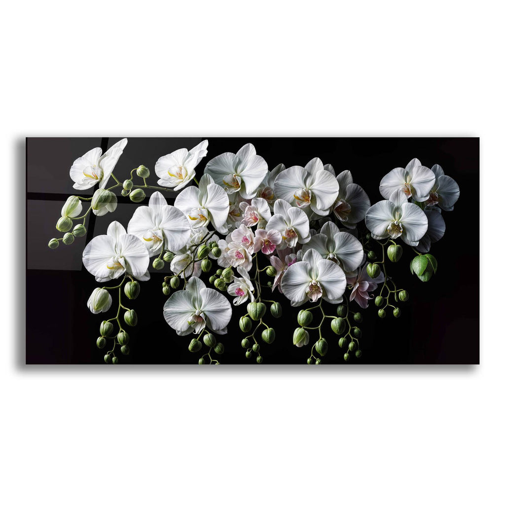 Orchid Flowers 3 by Rey Klimt acrylic glass wall art