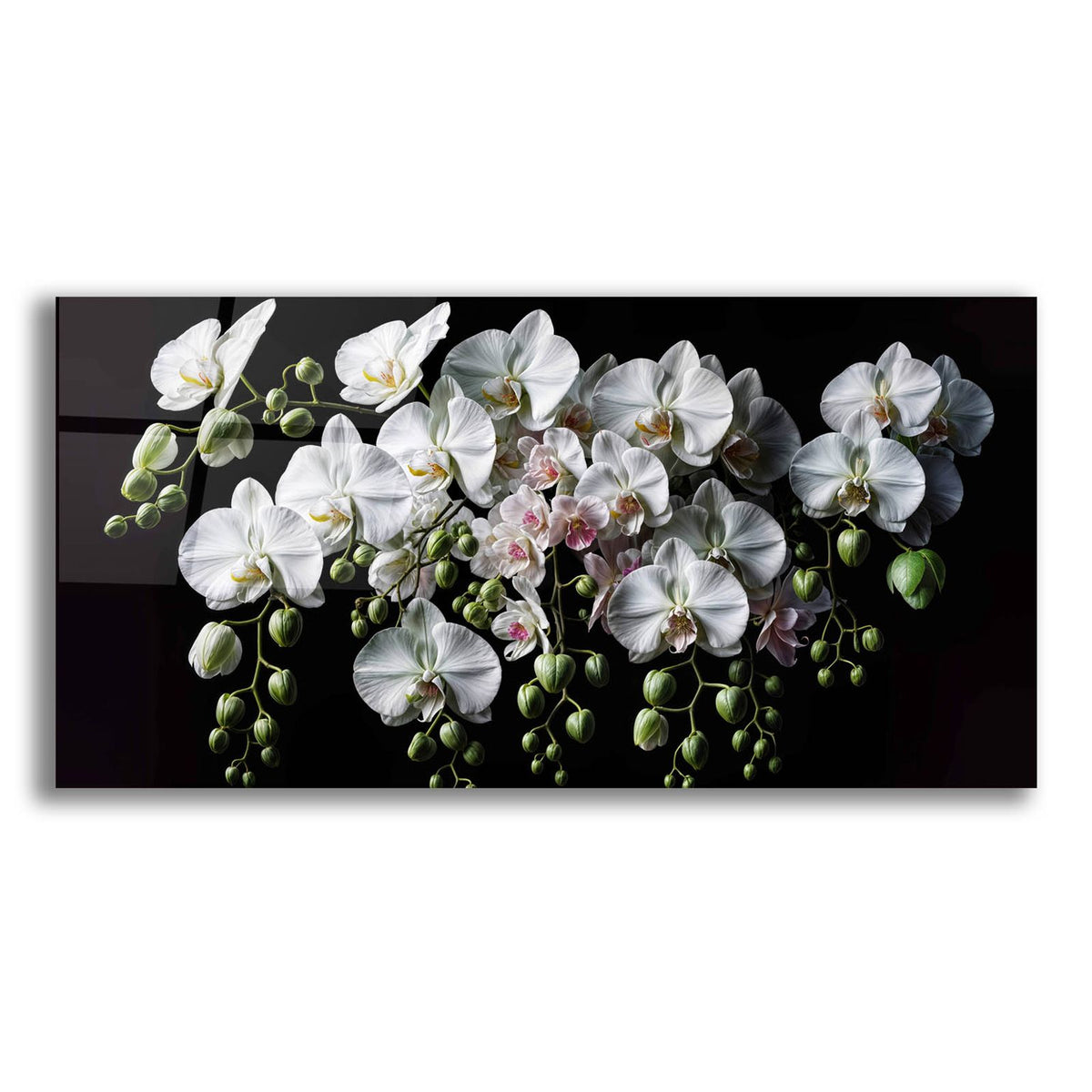 Orchid Flowers 3 by Rey Klimt acrylic glass wall art