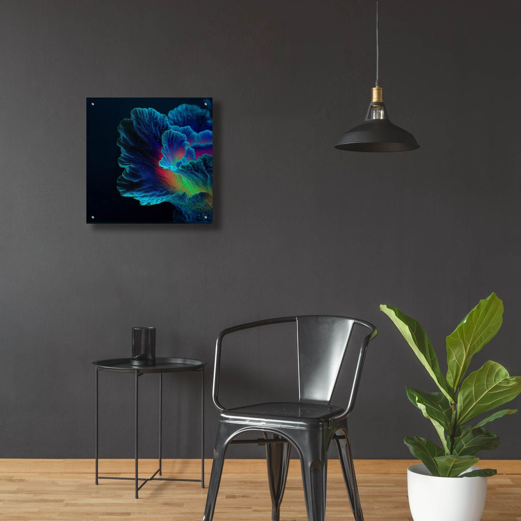 Morning Glory by Ann Klee - 24x24 acrylic wall art in a room