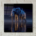 Magestic Moonlight Elephant 2 by Ann Klee - 12x12 acrylic wall art in a room