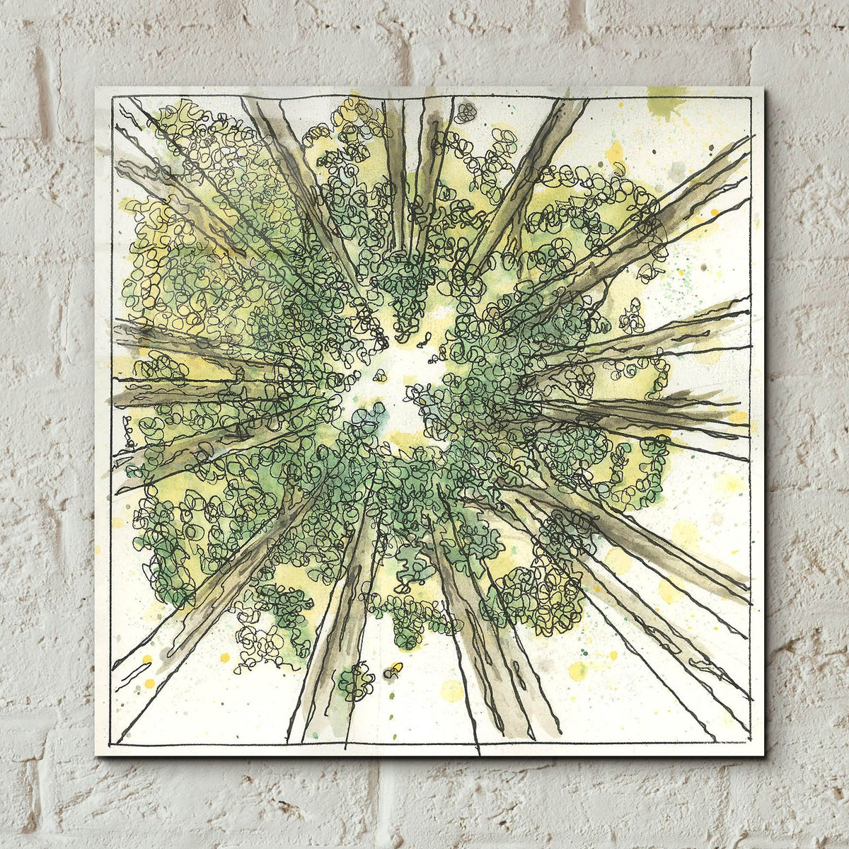 Looking Up by Anika Goodhue - 12x12 acrylic wall art in a room