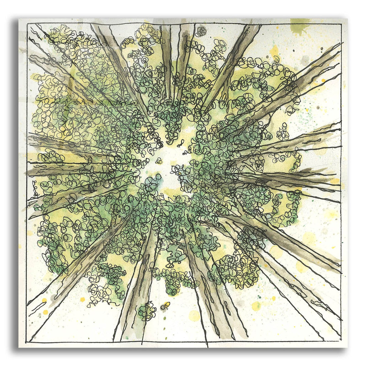 Looking Up by Anika Goodhue acrylic glass wall art
