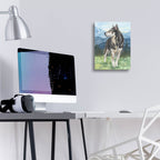 Husky In The Mountains by Anika Goodhue - 12x16 acrylic wall art in a room