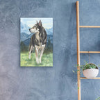 Husky In The Mountains by Anika Goodhue - 16x24 acrylic wall art in a room