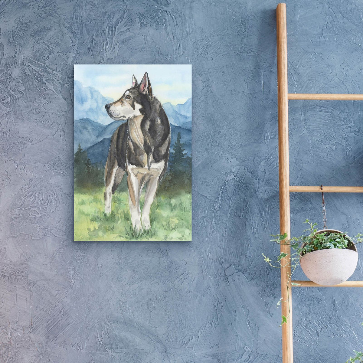 Husky In The Mountains by Anika Goodhue - 16x24 acrylic wall art in a room