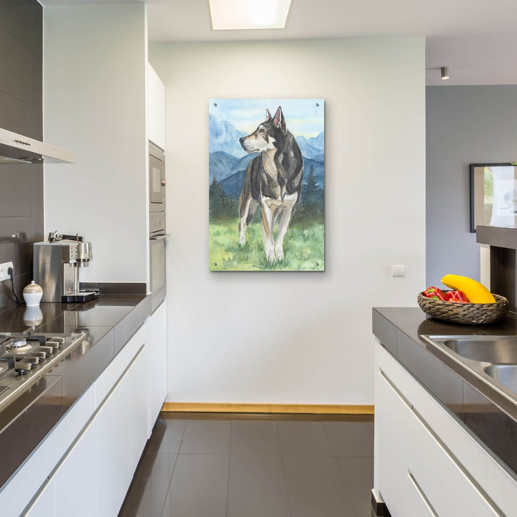 Husky In The Mountains by Anika Goodhue - 24x36 acrylic wall art in a room