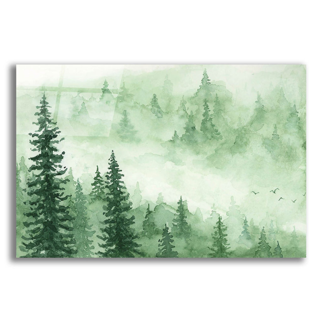 Green Foggy Trees by Anika Goodhue acrylic glass wall art