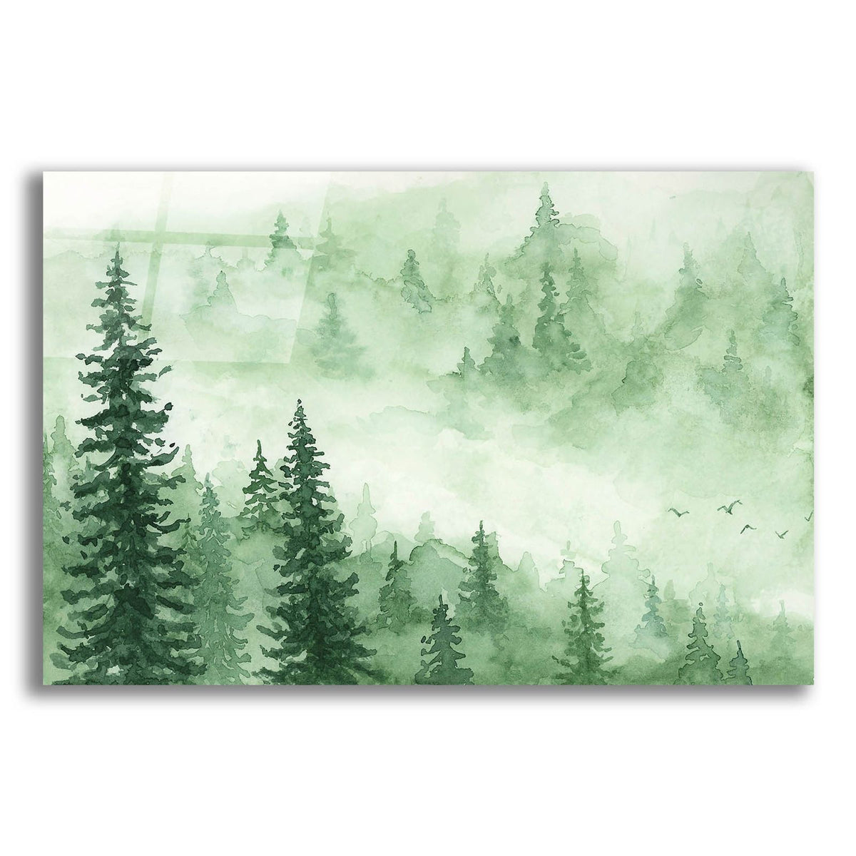 Green Foggy Trees by Anika Goodhue acrylic glass wall art