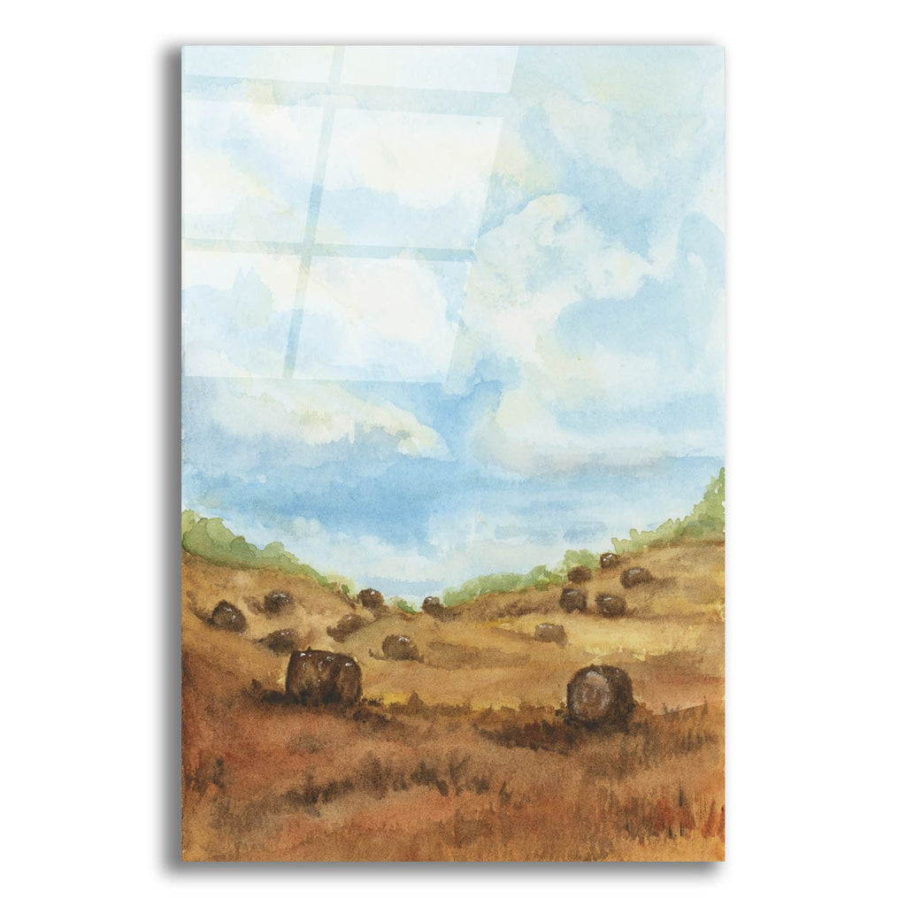 After The Cut by Anika Goodhue acrylic glass wall art