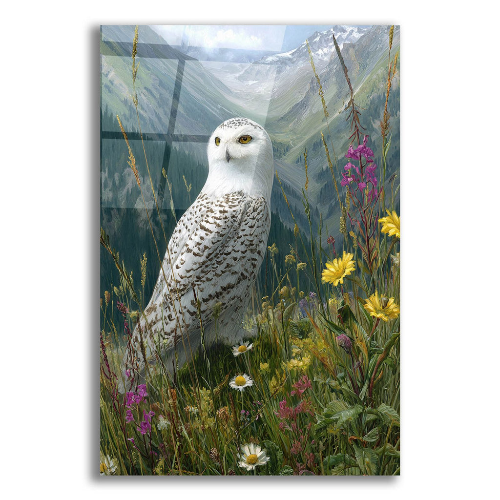 Spring Owl 2 by Ann Klee acrylic glass wall art