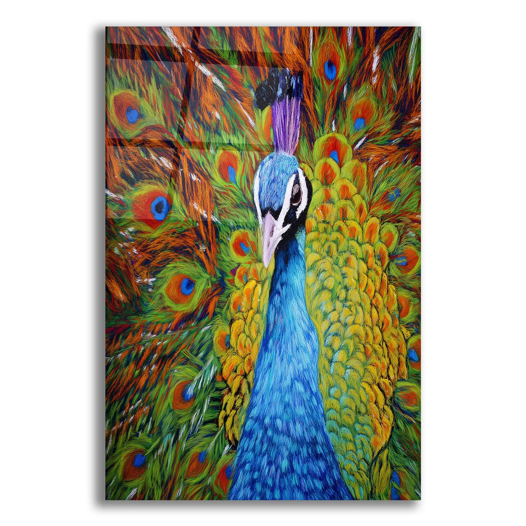 Colorful Peacock by Rey Klimt acrylic glass wall art