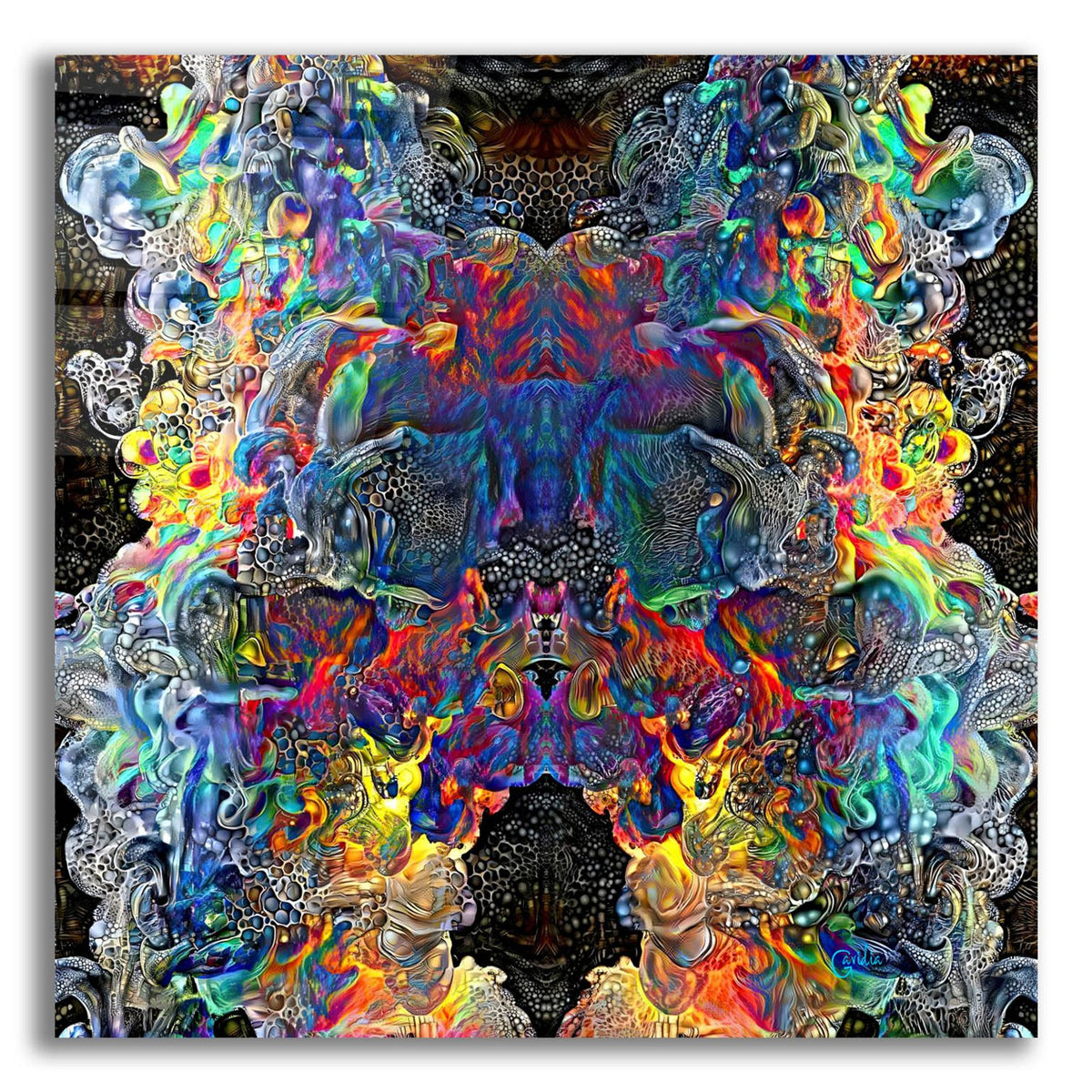 Ce Falo by Pedro Gavidia acrylic glass wall art