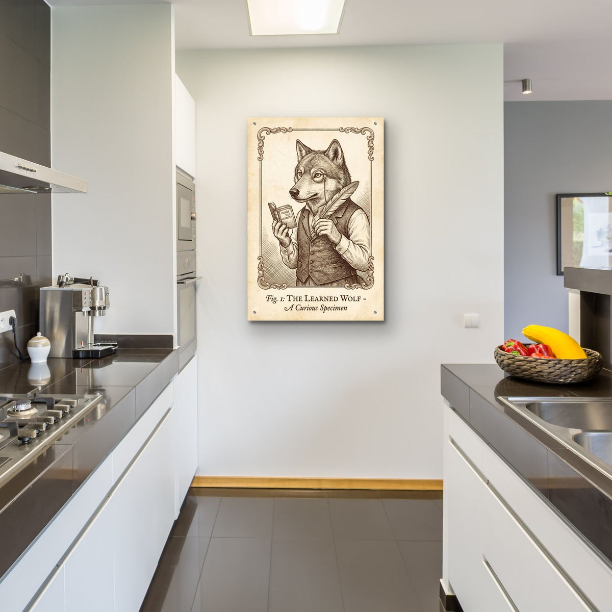 Funny Wolf Antique Scientific Engraving by Ann Klee - 24x36 acrylic wall art in a room
