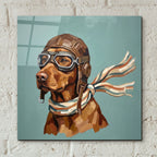 Vizsla Aviator by Ann Klee - 12x12 acrylic wall art in a room