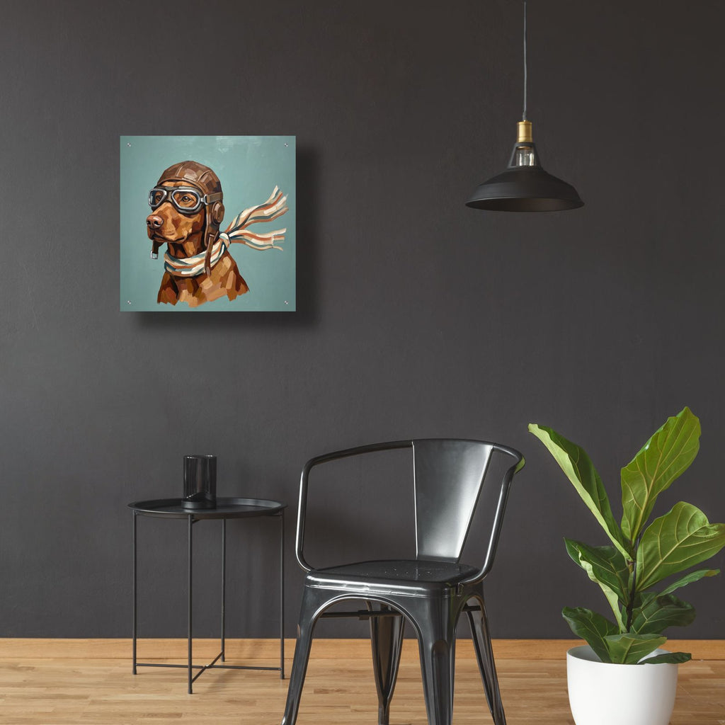 Vizsla Aviator by Ann Klee - 24x24 acrylic wall art in a room