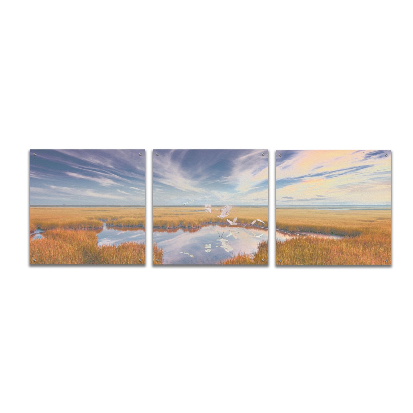 Epic Art 'Early Risers' by Steve Hunziker, Acrylic Glass Wall Art, 3 Piece Set