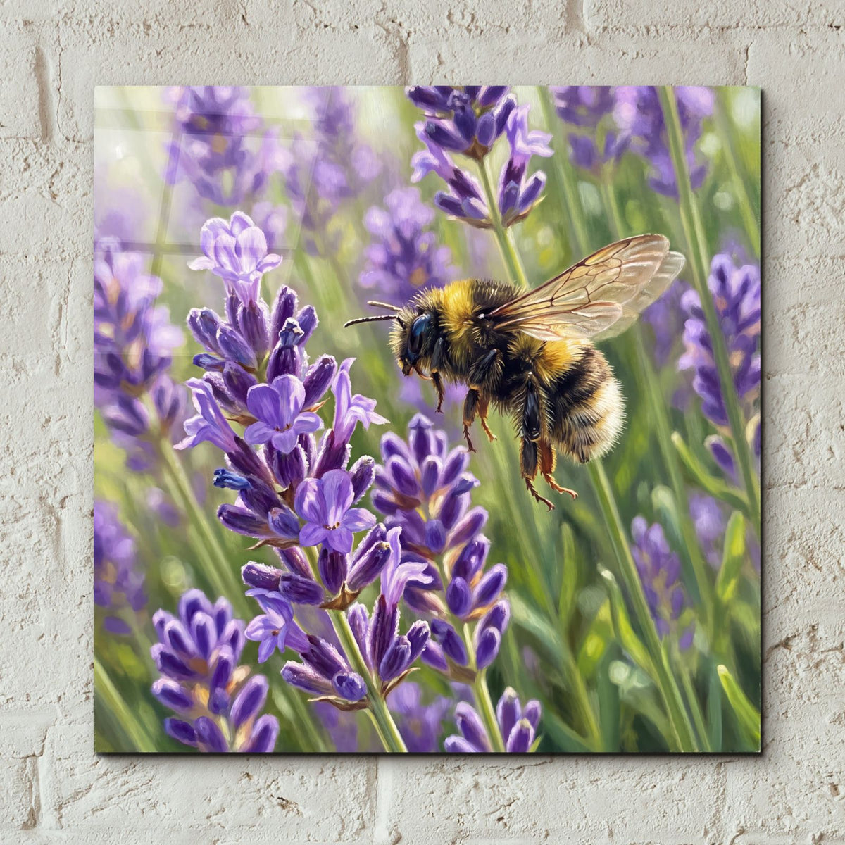 Bumblebee and Lavender by Veve - 12x12 acrylic wall art in a room