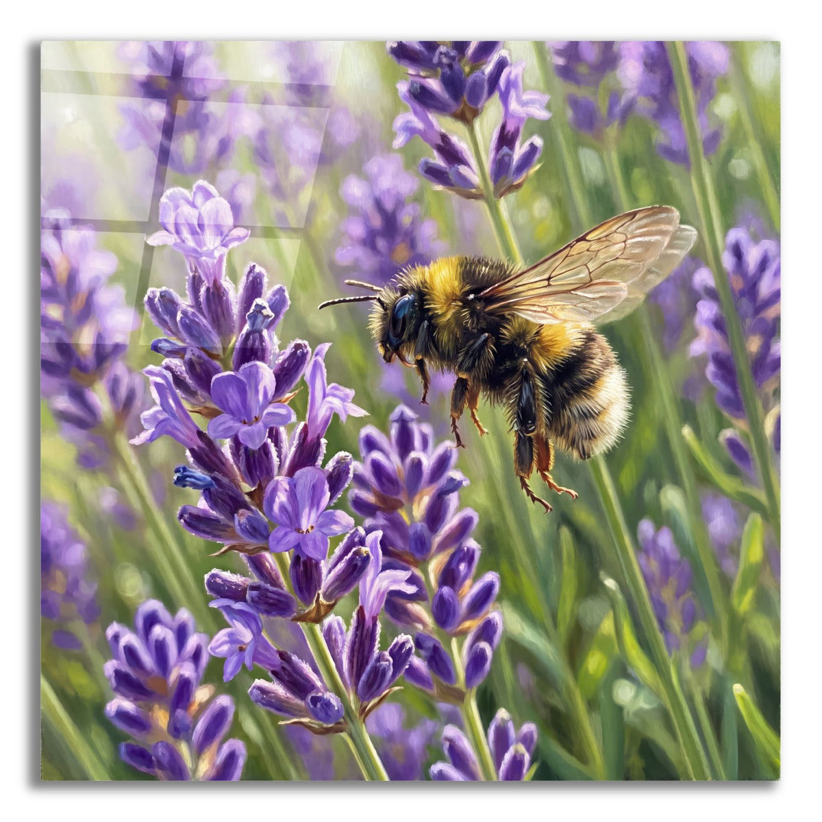 Bumblebee and Lavender by Veve acrylic glass wall art