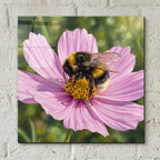Bumblebee by Veve - 12x12 acrylic wall art in a room