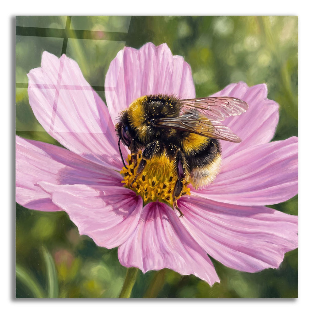 Bumblebee by Veve acrylic glass wall art