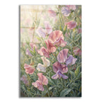 Sweet Pea Reverie by Veve acrylic glass wall art