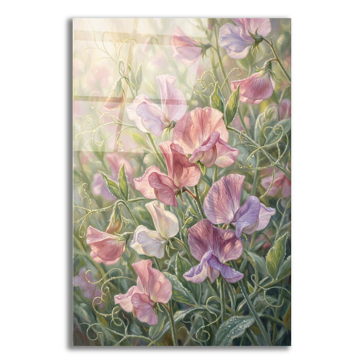 Sweet Pea Reverie by Veve acrylic glass wall art