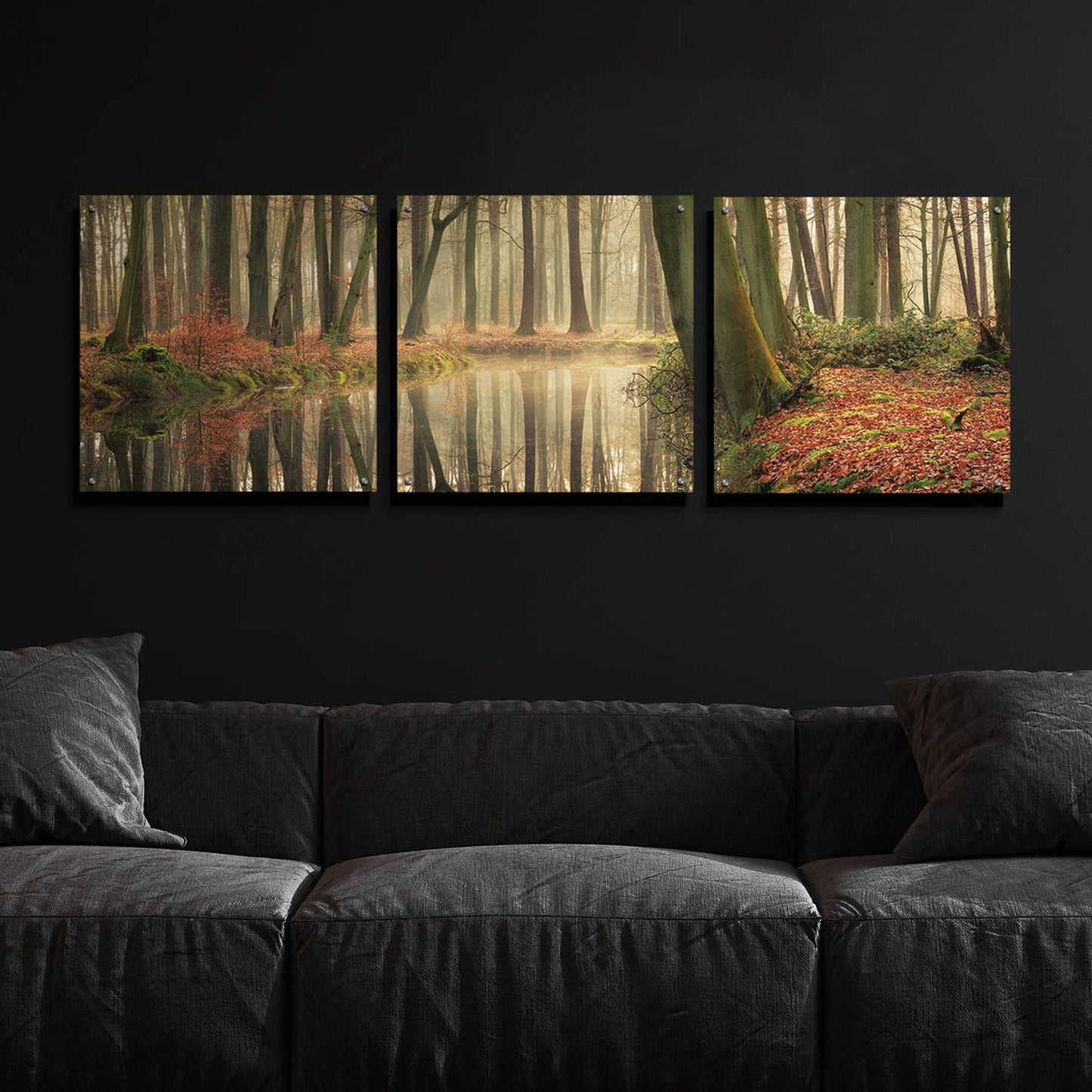 Epic Art 'The Healing Power of Forests' by Martin Podt, Acrylic Glass Wall Art, 3 Piece Set,72x24