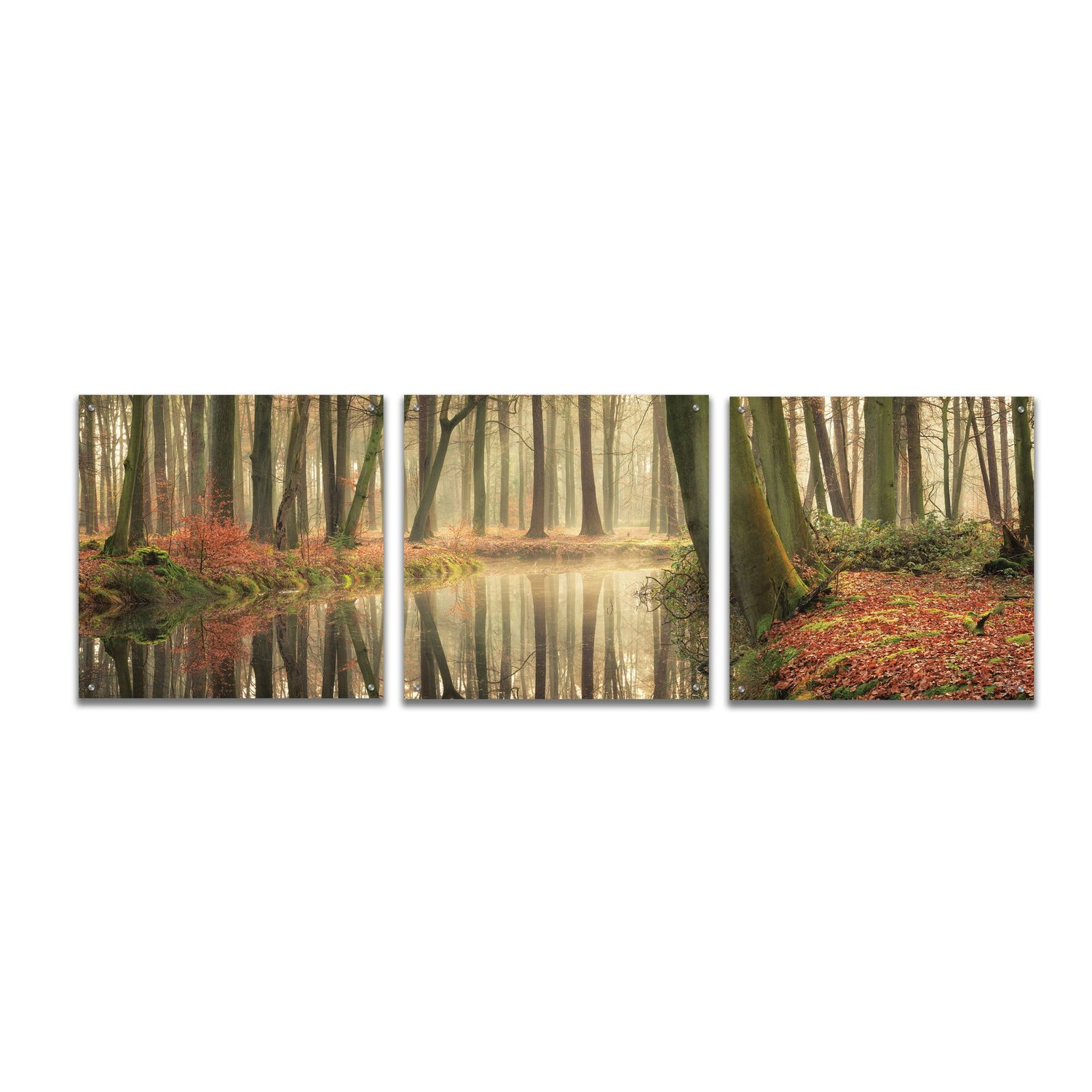 Epic Art 'The Healing Power of Forests' by Martin Podt, Acrylic Glass Wall Art, 3 Piece Set