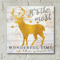 It's the Most Wonderful Time Deer by Cindy Jacobs - 12x12 acrylic wall art in a room