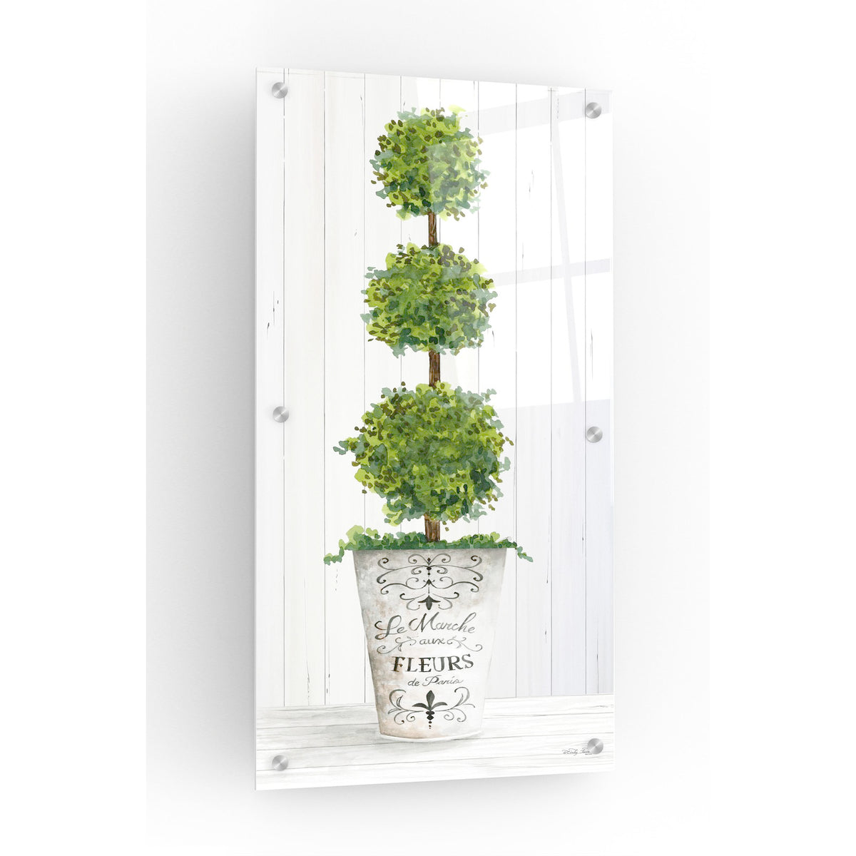 Magnificent Topiary I by Cindy Jacobs acrylic glass wall art