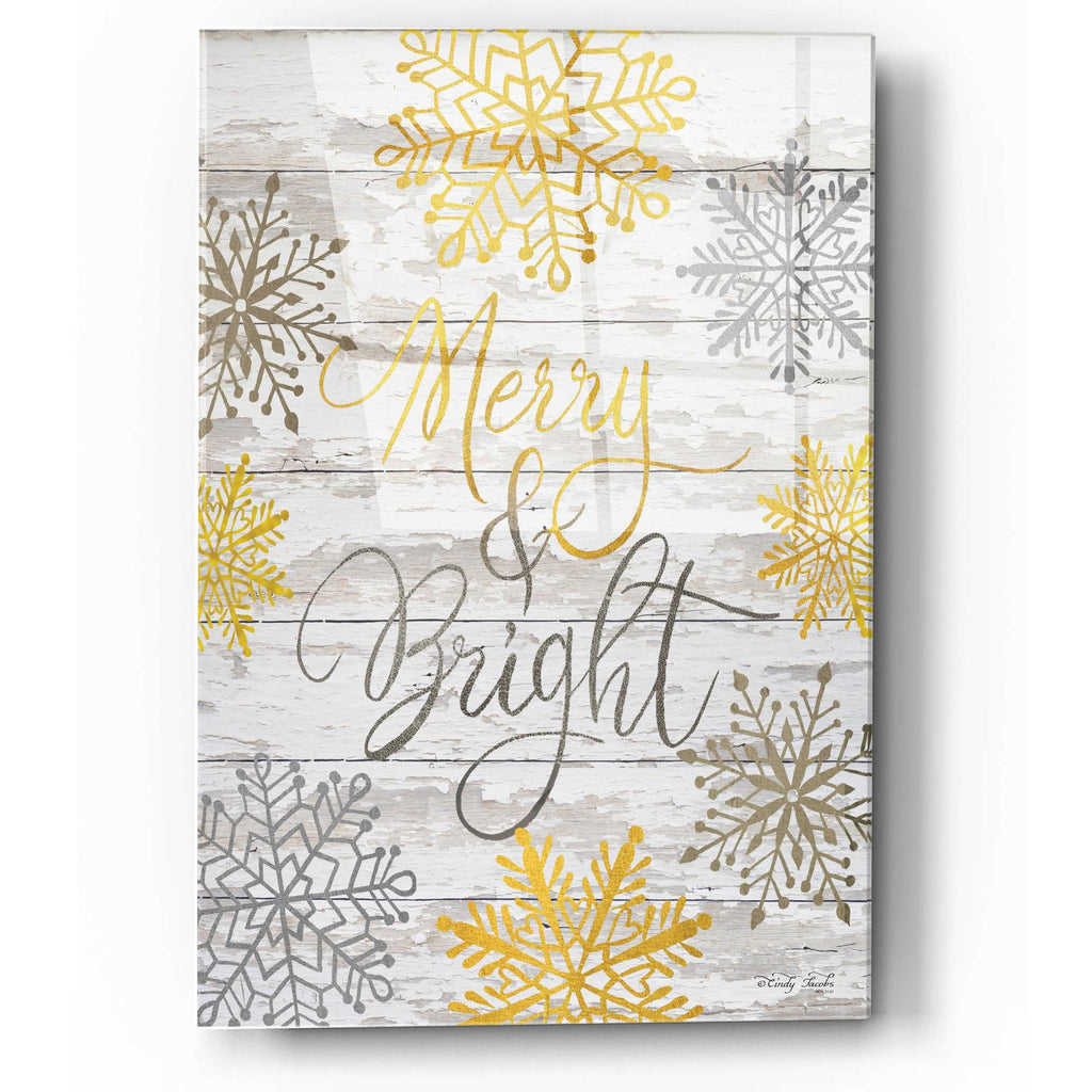 Merry & Bright Snowflakes by Cindy Jacobs acrylic glass wall art