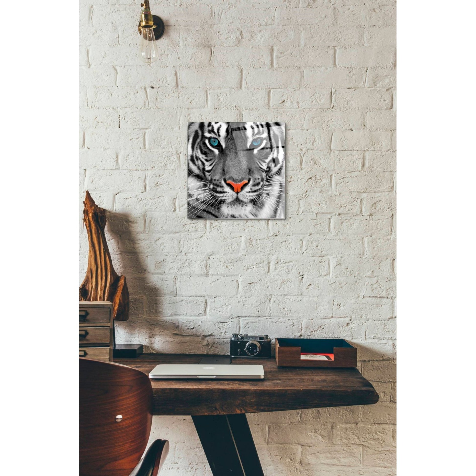 Epic Art 'Thrill of the Tiger' Acrylic Glass Wall Art,12x12