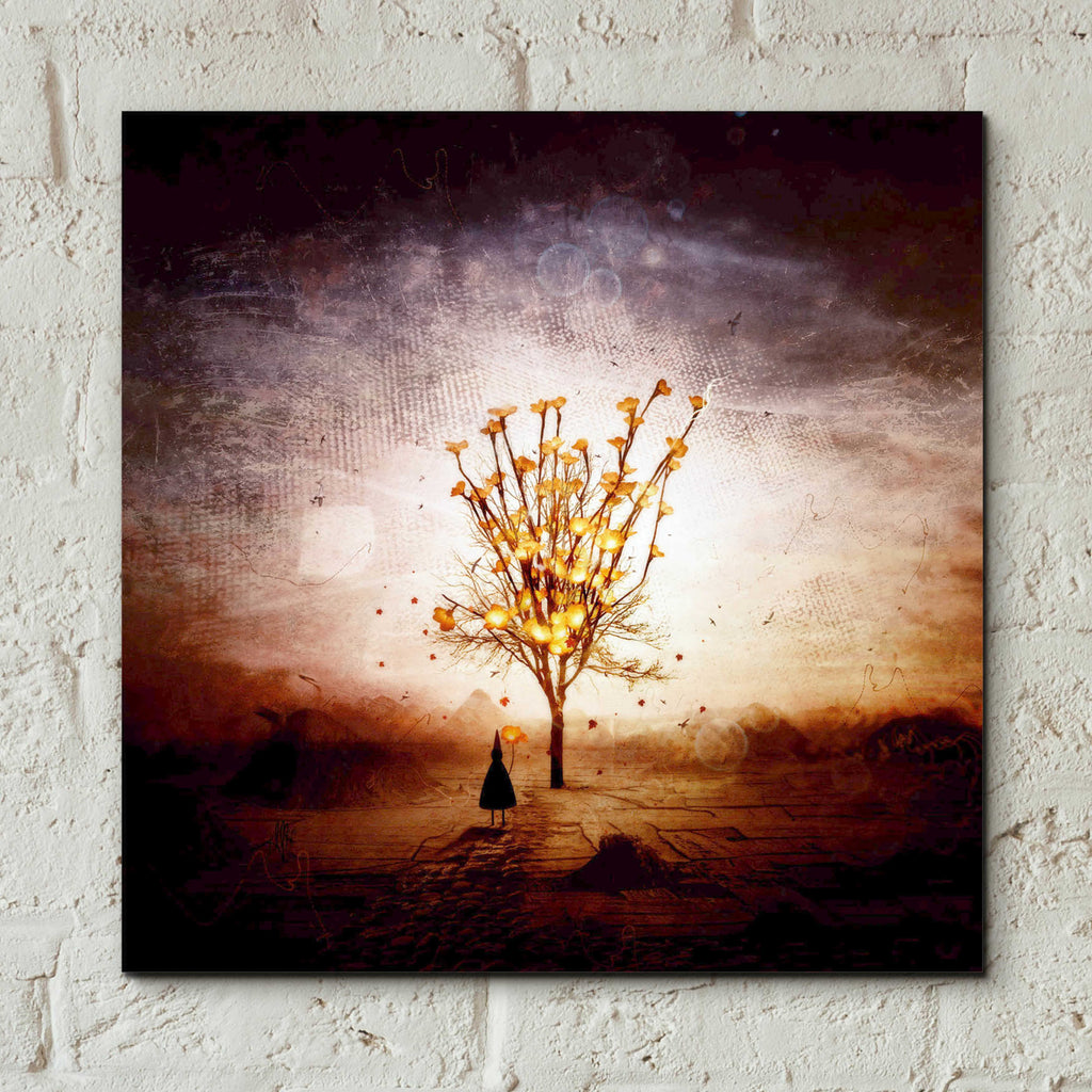 Epic Art 'Finding' by Mario Sanchez Nevado, Acrylic Glass Wall Art,12x12