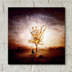 Epic Art 'Finding' by Mario Sanchez Nevado, Acrylic Glass Wall Art,12x12