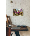 Epic Art 'Bougainvillea' Acrylic Glass Wall Art,12x16