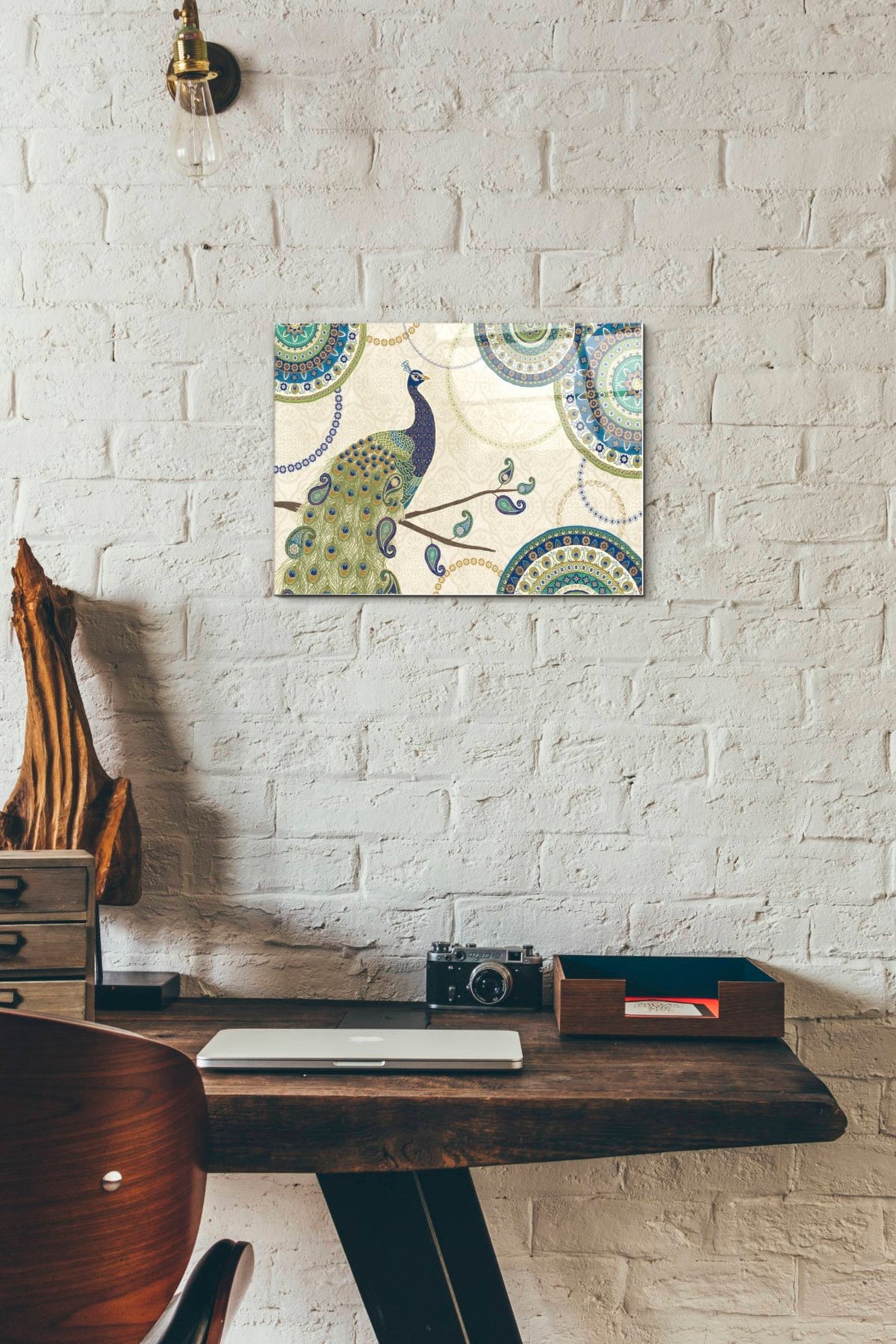 Epic Art 'Peacock Paradise I' by Veronique Charron, Acrylic Glass Wall Art,12x16