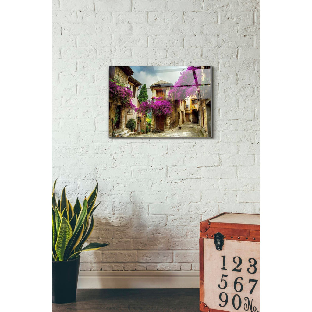 Epic Art 'Bougainvillea' Acrylic Glass Wall Art,16x24